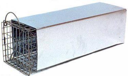 Skunk-Trap-Enclosed Skunk-Trap-Enclosed